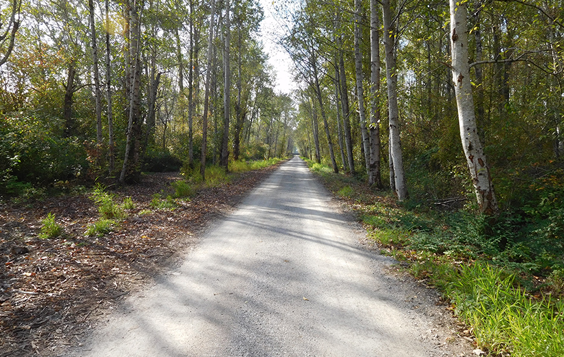 City of Bellingham – Bay to Baker Trail
